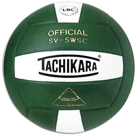 Volleyball 2012-13